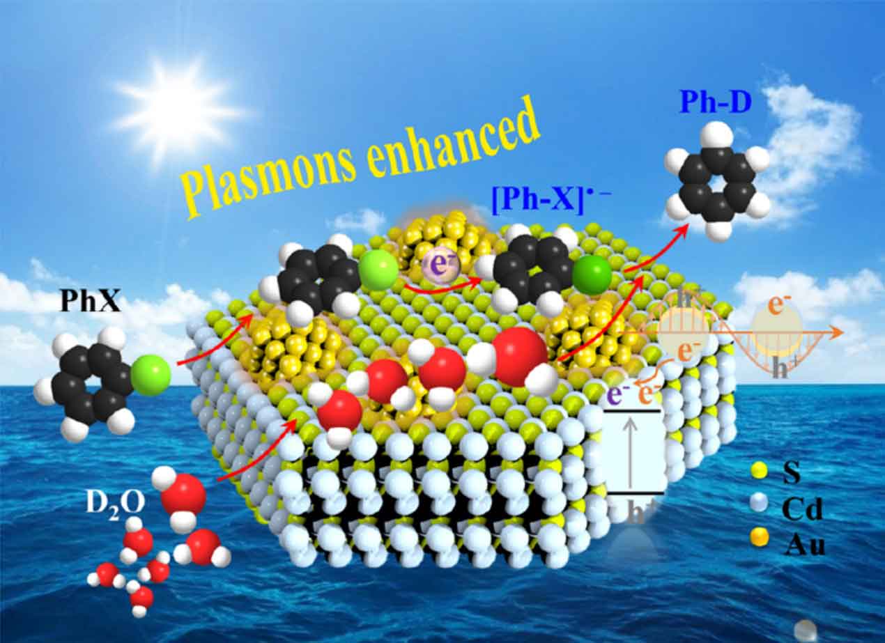 Plasmon-induced chemistry