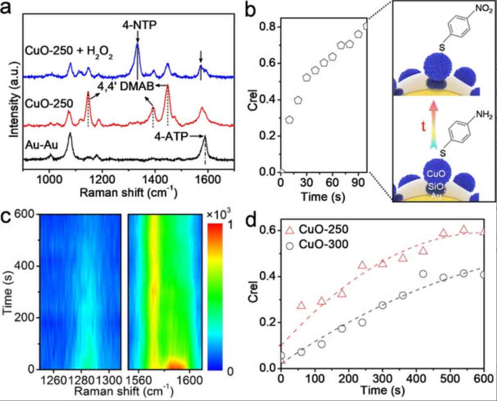 Label-free monitoring of catalysis